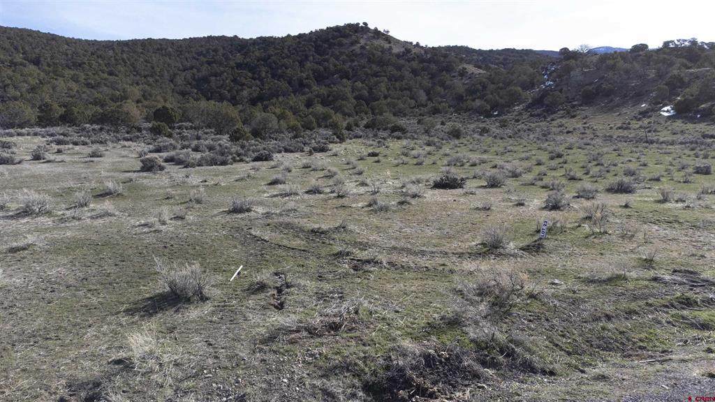 TBD Lot 23 7250 Road - Photo 1