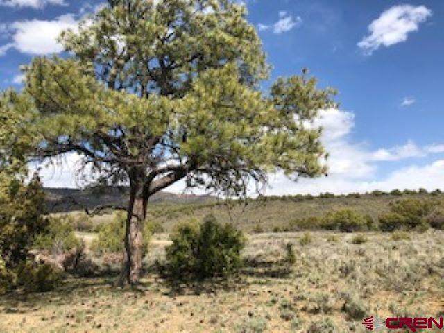 125 Archuleta Mesa - Photo 1