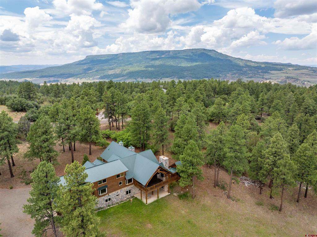 473 Black Bear Place - Photo 1