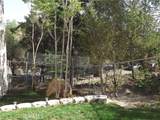 8665 Valley Circle Boulevard - Photo 33