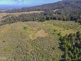 42000 Mountain View Road - Photo 19