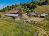 42000 Mountain View Road - Photo 23