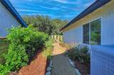 731 Paseo De Leon - Photo 47