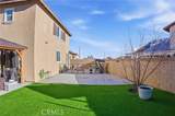 42041 Mohave Rose Drive - Photo 56