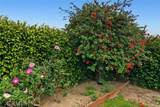 9054 Darby Avenue - Photo 41