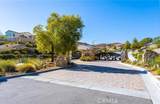 25085 Cypress Bluff Drive - Photo 49