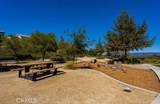 25085 Cypress Bluff Drive - Photo 54
