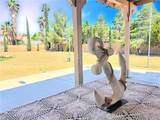 39883 Penina Way - Photo 47