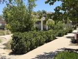 11139 Snapdragon Street - Photo 33