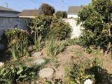 1447 Palm Drive - Photo 31