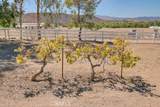 35502 Voss Road - Photo 44
