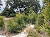 710 La Luna Avenue - Photo 18