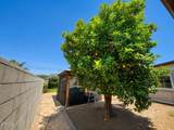 7330 Satsuma Avenue - Photo 33