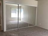 3716 Vireo Drive - Photo 12