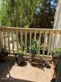 5780 Freebird Lane - Photo 12