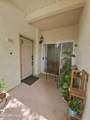 5780 Freebird Lane - Photo 31