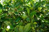 7841 83rd - Photo 48