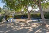 1667 Calle Zafiro - Photo 24