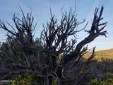  Off Big Pines Hwy. Road - Photo 5