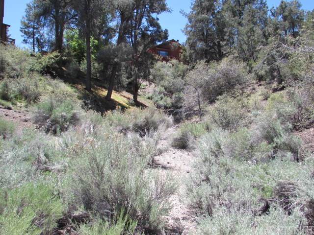 2505 Cedarwood Drive - Photo 1