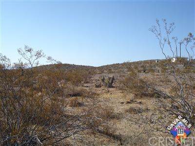59928302 Border Road - Photo 1