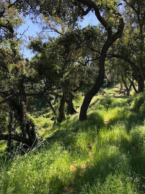 Skyhigh Drive - Photo 1