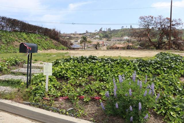 954 Colina - Photo 1