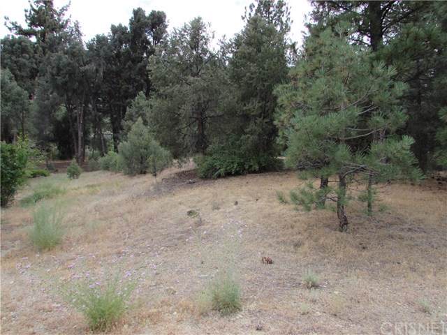 15400 Nesthorn - Photo 1