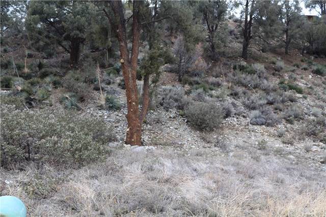 14325 Voltaire Drive - Photo 1