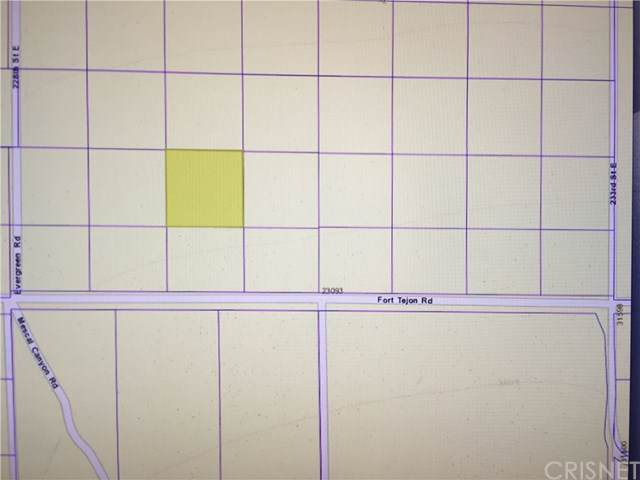 0 Vac/230 Ste Drt /Vic Avenue X14 - Photo 1