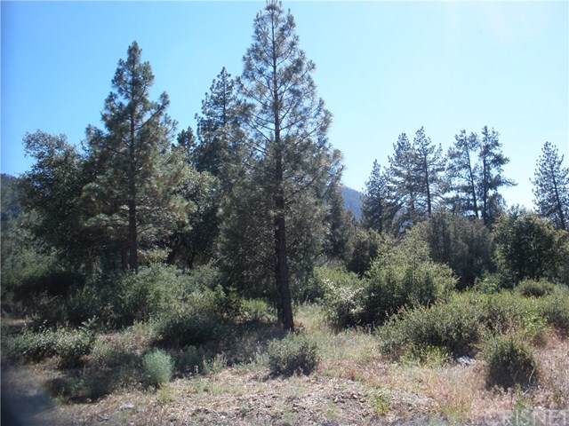 2417 Freeman - Photo 1