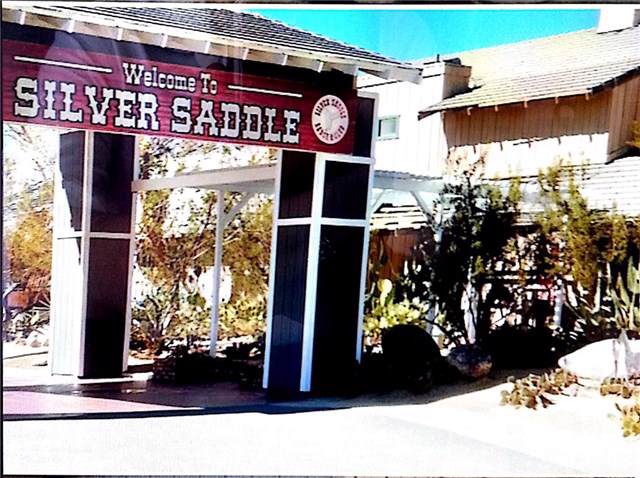 0 Silver Saddle - Photo 1