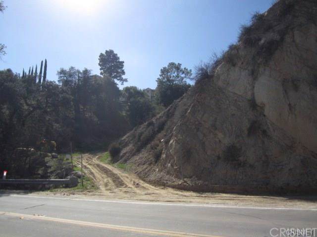 12003 Kagel Canyon Road - Photo 1