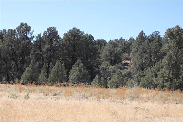 13224 Boy Scout Camp Road - Photo 1