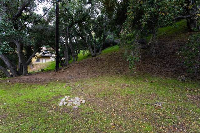 Old Topanga Canyon Road - Photo 1
