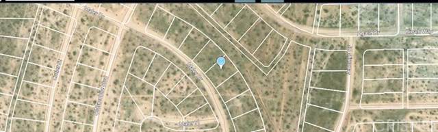 0 Maler Drive - Photo 1