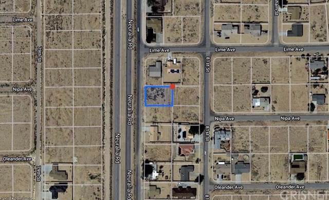 0 Neuralia Rd - Photo 1