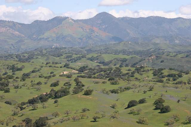 2627 Via De Los Ranchos Road - Photo 1
