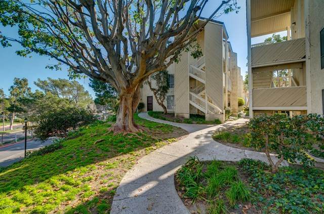 251 Ventura Road - Photo 1