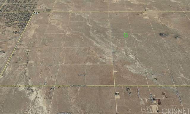 20500 Vac/Ave P/Vic 205 Ste - Photo 1