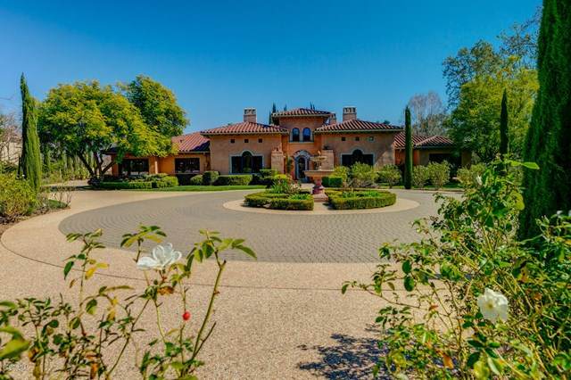 12460 Linda Flora Drive - Photo 1
