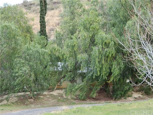 28402 Bouquet Canyon Road - Photo 1