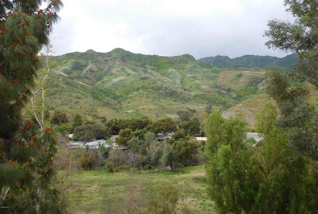 32150 Canyon Ridge Drive - Photo 1