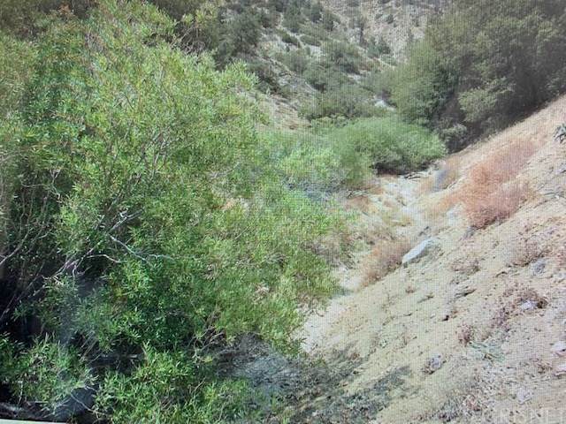 0 Frazier Mountain Park Rd. - Photo 1