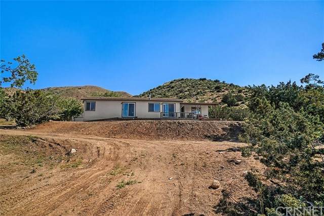 31603 Rowel Court - Photo 1