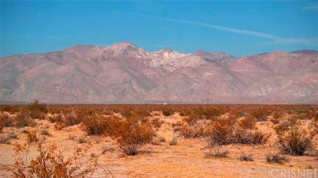 0 Yerba Boulevard - Photo 1