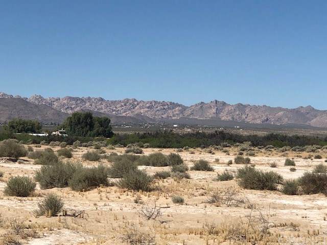 0 Sunny Sands Drive - Photo 1