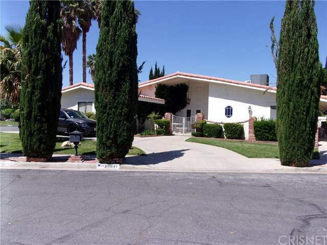 39631 Joline Avenue - Photo 1