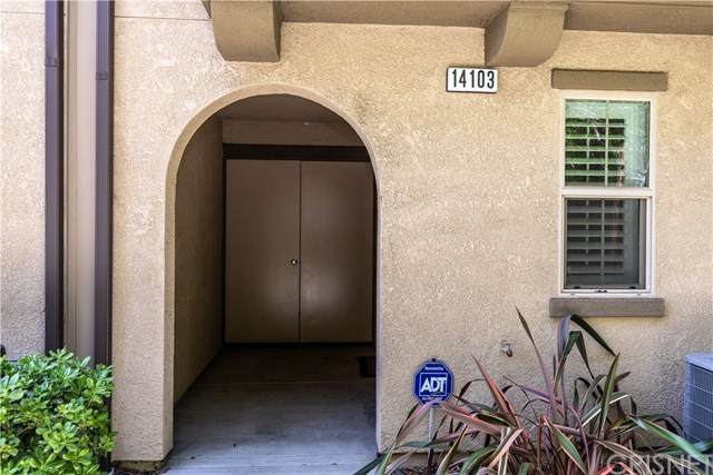 14103 Chapparel Lane - Photo 1