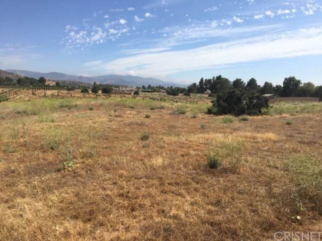 0 Vac/Sierra Hwy/Vic Johnson Road - Photo 1